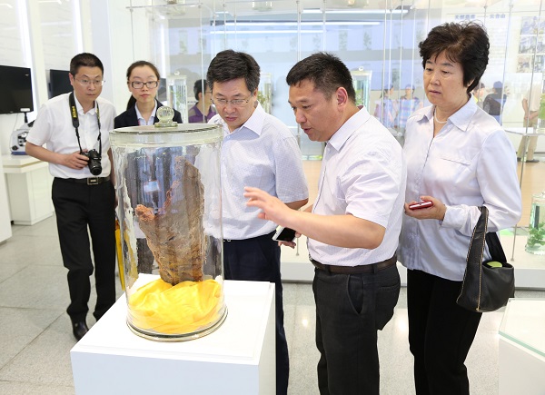 征途国际官网-钻营健全,你我一路成长